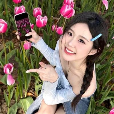 新忠烈图